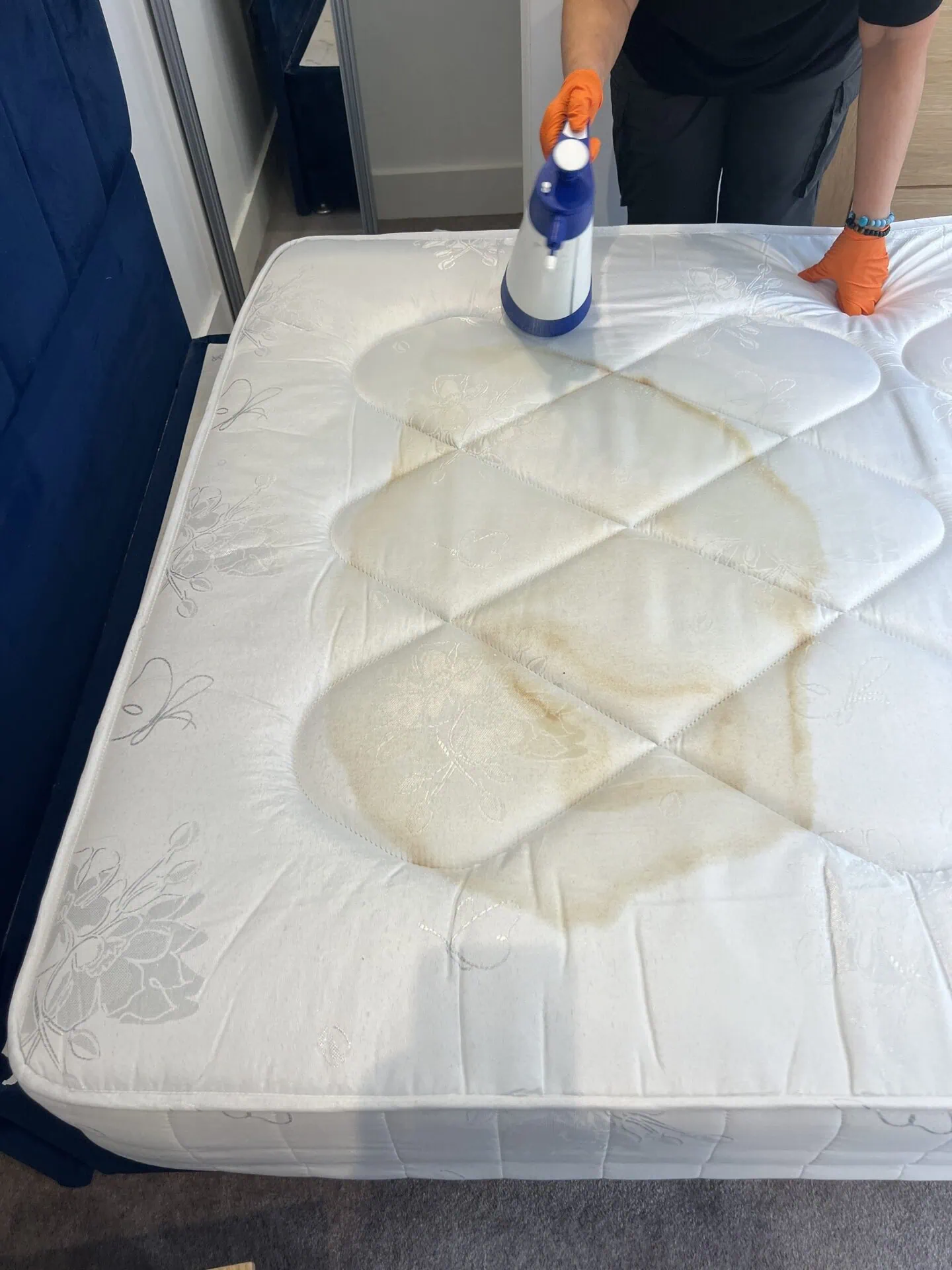 Technician in orange gloves spraying enzyme treatment onto a large urine stain on a white mattress